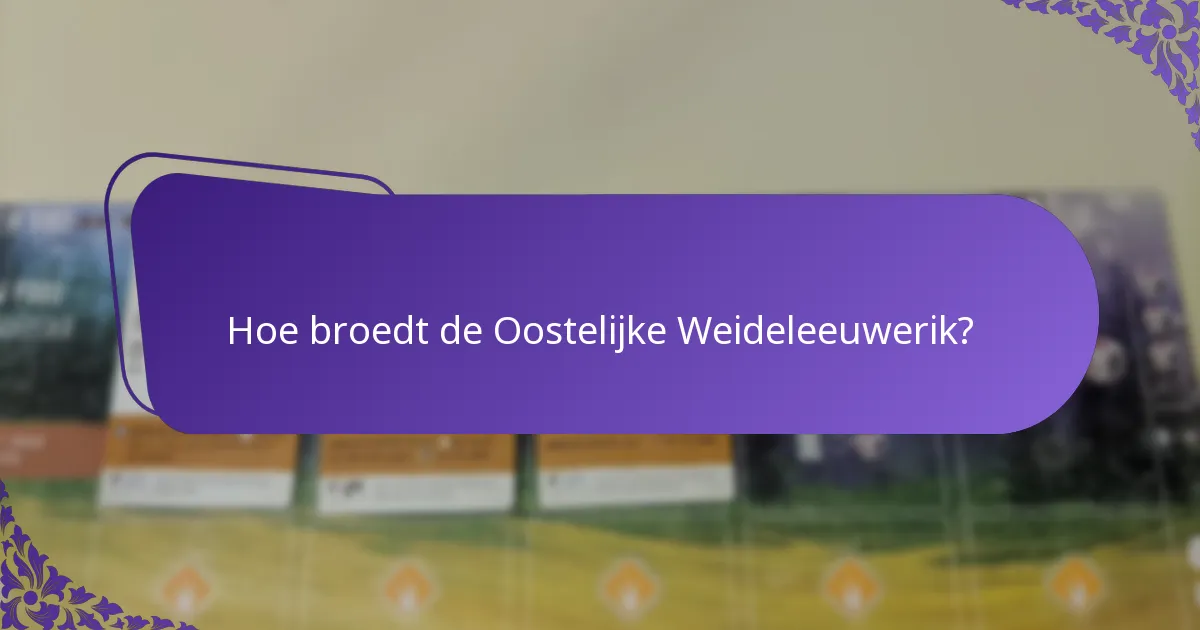 Waar komt de Oostelijke Weideleeuwerik typisch voor?