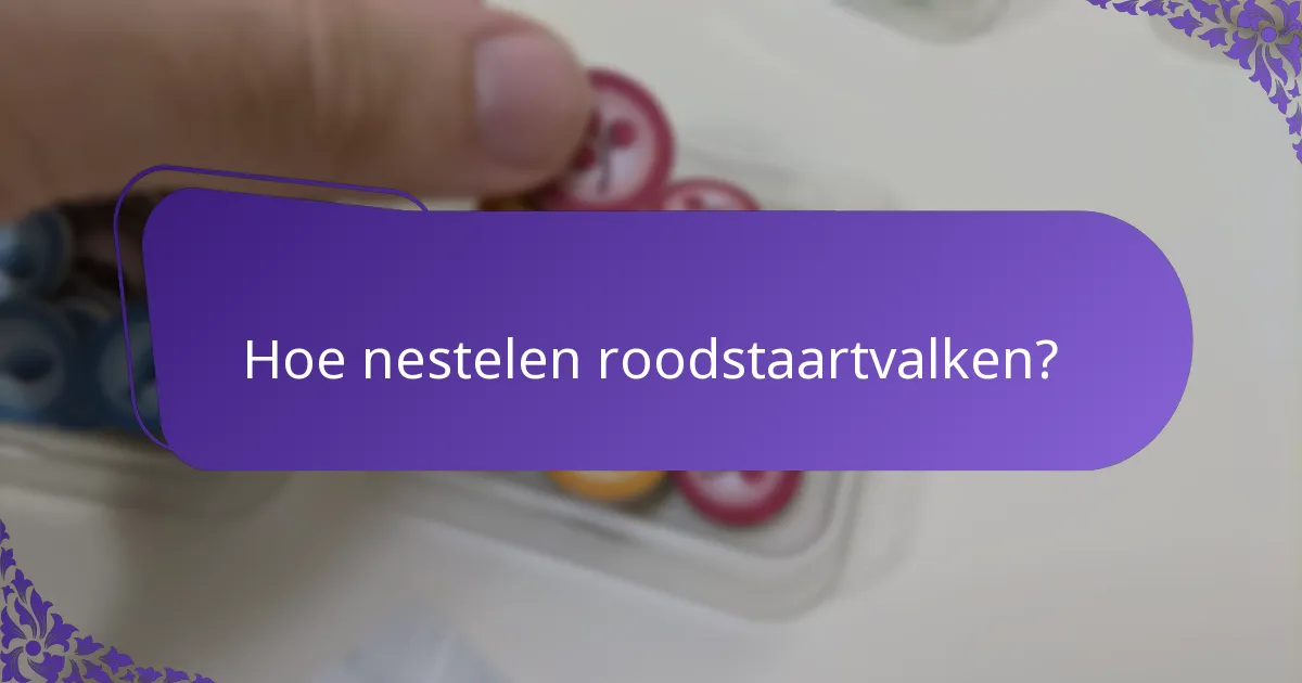 Waar leven roodstaartvalken?
