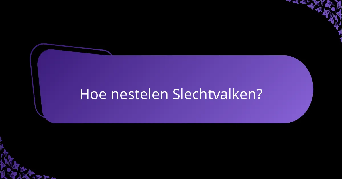 Waar leeft de Slechtvalk?