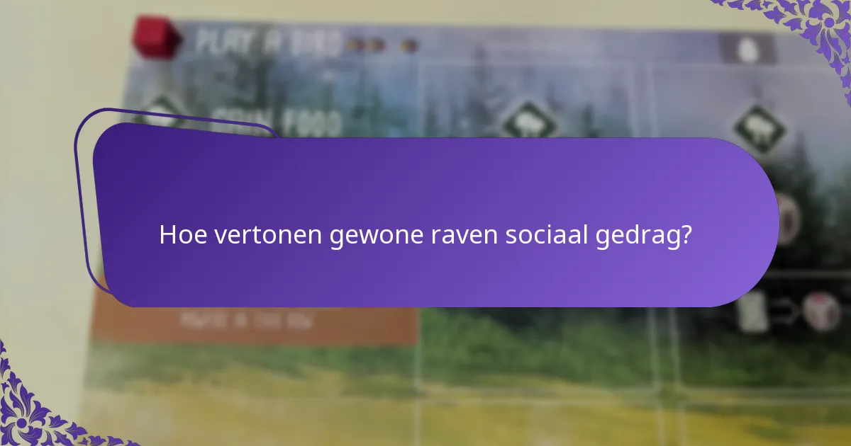 Hoe vertonen gewone raven sociaal gedrag?
