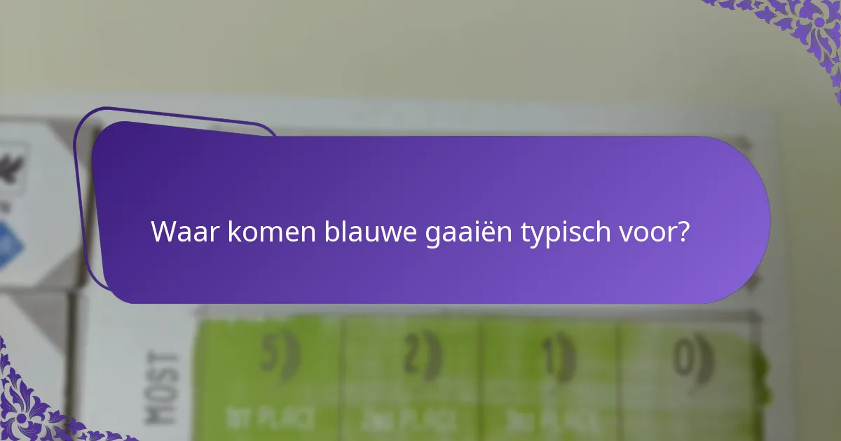 Wat is het dieet van blauwe gaaiën?