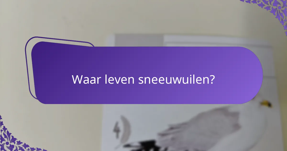 Wat eten sneeuwuilen?