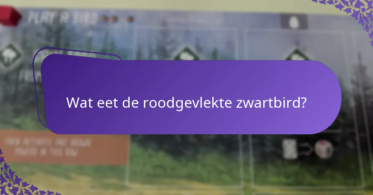 Hoe past het gedrag van de roodgevlekte zwartbird zich aan aan omgevingsveranderingen?