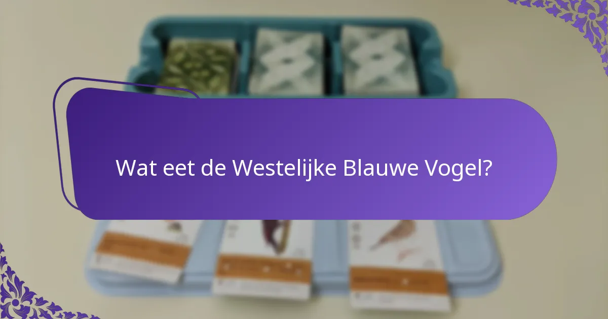 Hoe broeden Westelijke Blauwe Vogels?
