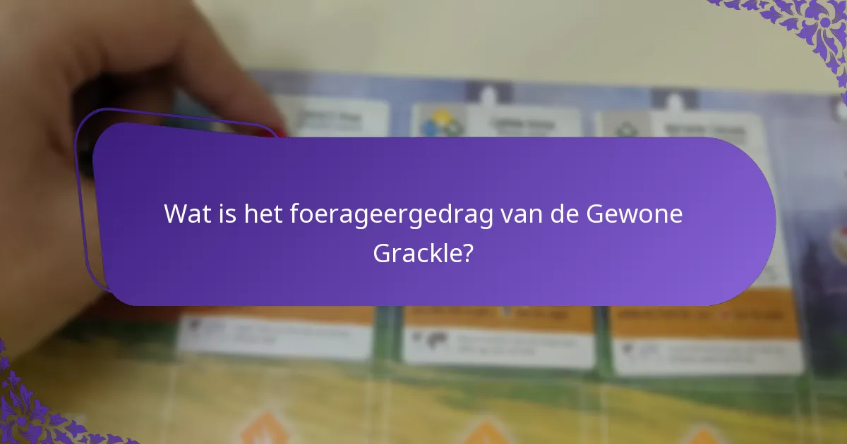 Wat zijn de broedgewoonten van de Gewone Grackle?