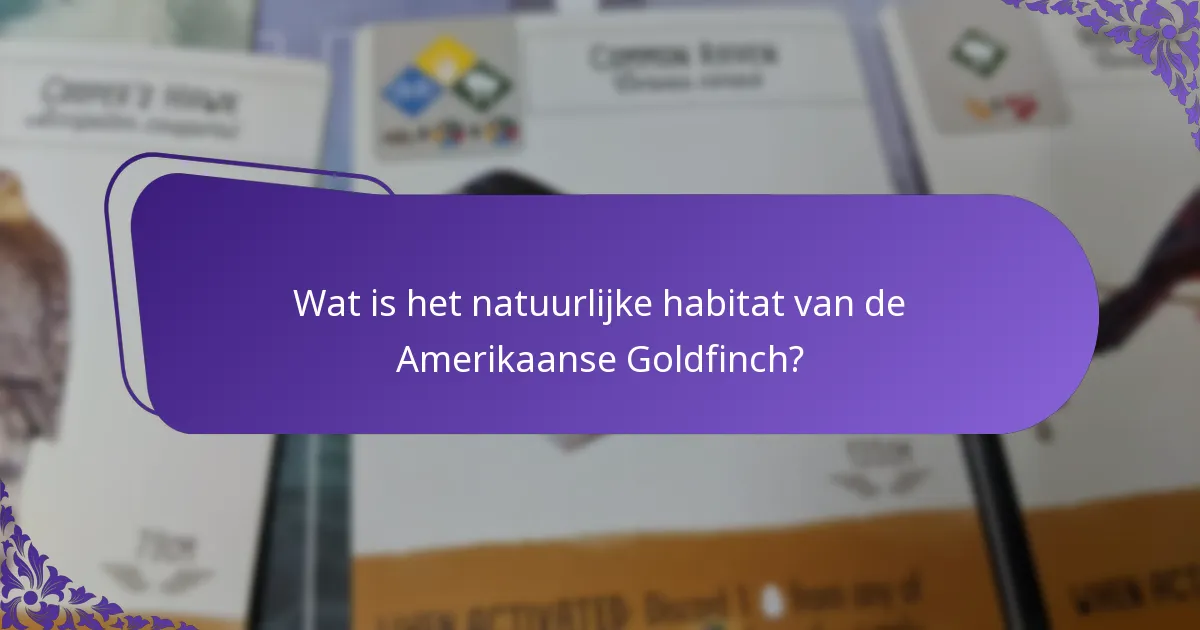 Hoe kun je Amerikaanse Goldfinches naar je achtertuin trekken?