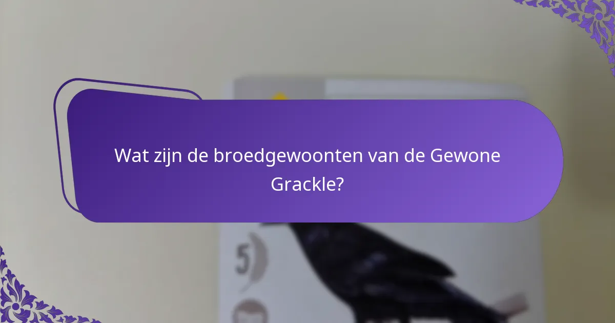 Hoe passen Gewone Grackles zich aan veranderingen in de omgeving aan?