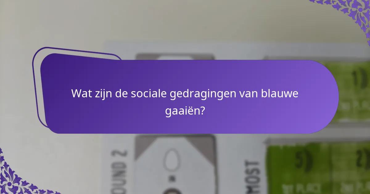 Welke bedreigingen ondervinden blauwe gaaiën in hun habitats?